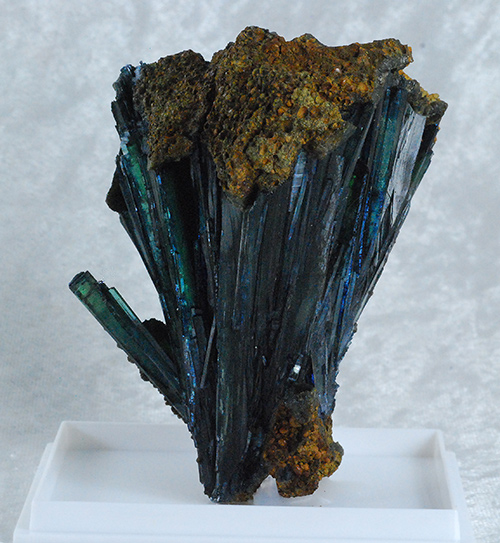 Vivianite - Cabe�a de Cachorro claim � Sao Gabriel de Cahoeira � Amazonas Brazil