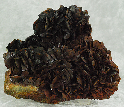 Siderite - Brosso mine - Calea - Lessolo - Torino prov. - Piedmont - Italy
