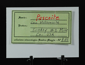 Pascoite and metarossite - Sunday #2 mine -�Carnation mine Group -�Slick Rock Mining Distr. -�San Miguel County -�Colorado - United States
