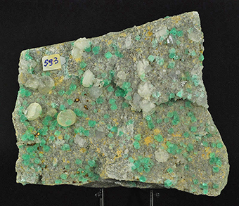 Fluorite, calcite and pyrite - Sant Cugat del Vall�s - El Papiol - Baix Llobregat - Barcelona - Catalonia - Spain