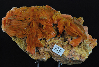 Baryte - Mibladen mining distr. - Midelt Prov. - Dr�a-Tafilalet Region - Morocco