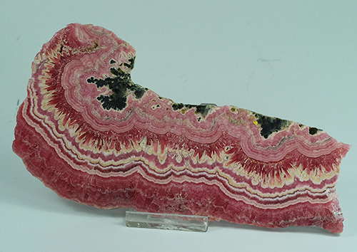 Rhodochrosite - Capitillas mining Distr. - Andalgal� Dept. - Catamarca Prov. - Argentina