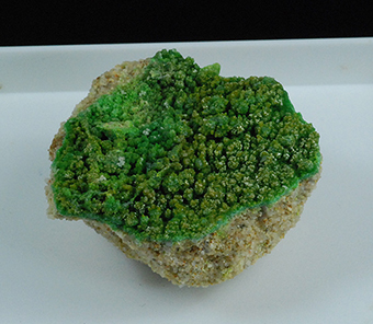Pyromorphite - Grube Gute - Hoffnung - Eisel - Germany