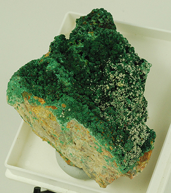 Brochantite - Aouli - Midelt - Marocco
