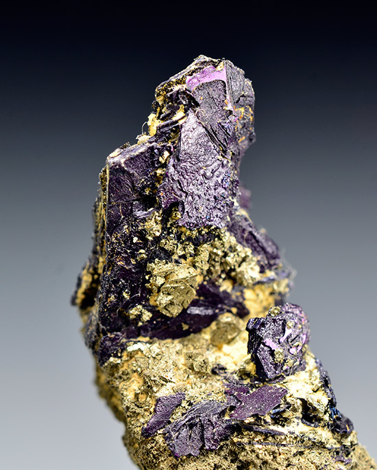 Covellite - Calabona Mine, Alghero, Sassari Province, Sardinia, Italy