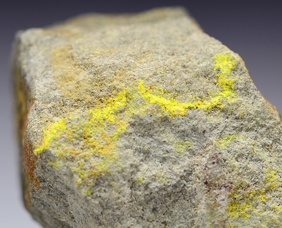 Bayleyite - Rifle - Garfield County - Colorado - USA