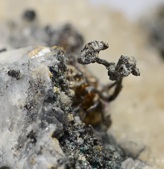 Silver native , Batopilas district., Chihuahua, Mexico Batopilas district., Chihuahua, Mexico