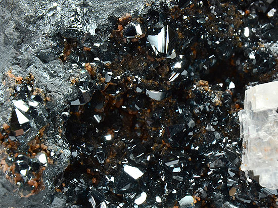 Hematite - Wessels Mine - Hotazel - Kuruman - Nort Cape Prov. - South Africa