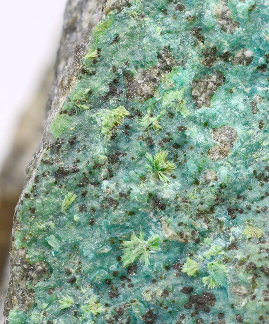 Calciopetersite - Doma�ov nad Bystřic�, Sternberk (Sternberg), Olomouc Region, Moravia (M�hren; Maehren), Czech Republic (TYPE LOCALITY)