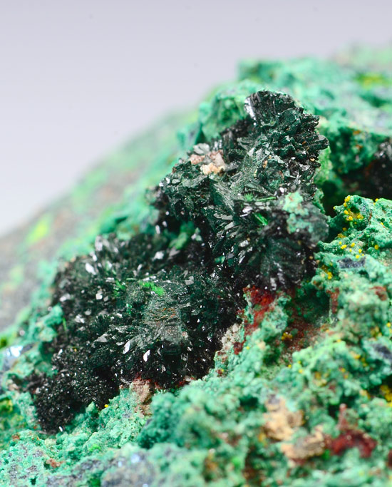 Vandenbrandeite - Musonoi Mine, Kolwezi, Katanga Copper Crescent, Katanga (Shaba), Democratic Republic of Congo (Za�re)