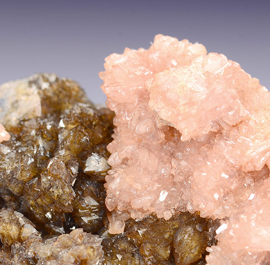 Reddingite with Hureaulite - Cigana Mine, Galil�ia, Doce valley, Minas Gerais, Brazil