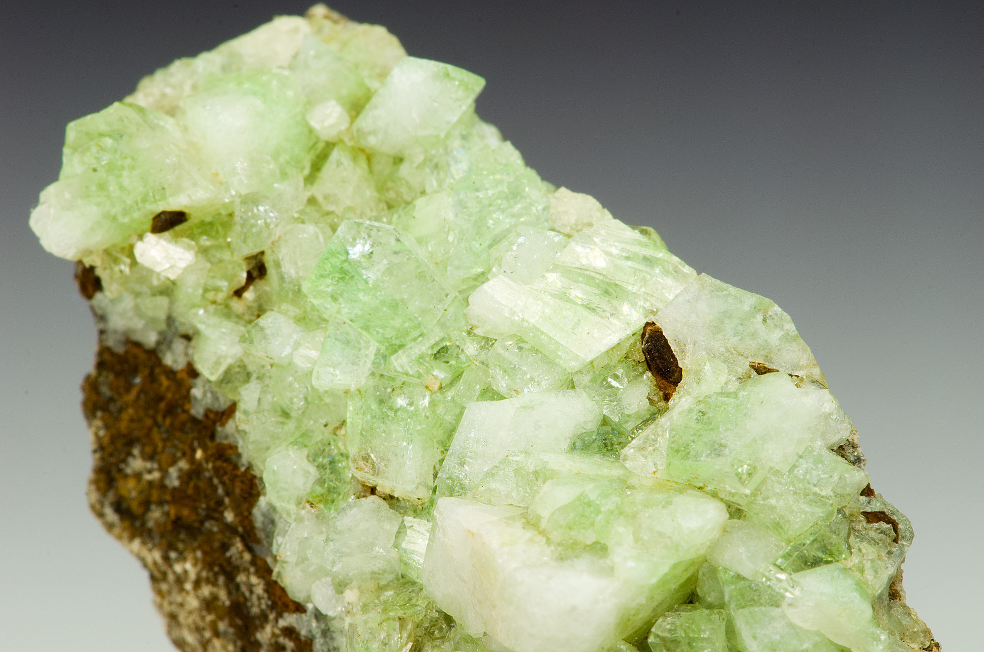 Augelite - Rapid Creek - Yukon Territories - Canada