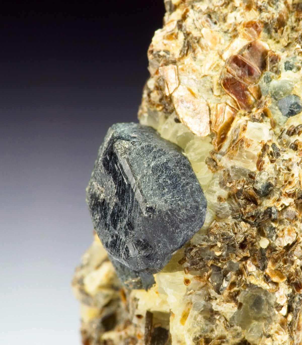 Sapphirine - Morafeno, Tranomaro Commune, Amboasary District, Anosy Region (Fort Dauphin Region), Tul�ar Province (Toliara), Madagascar