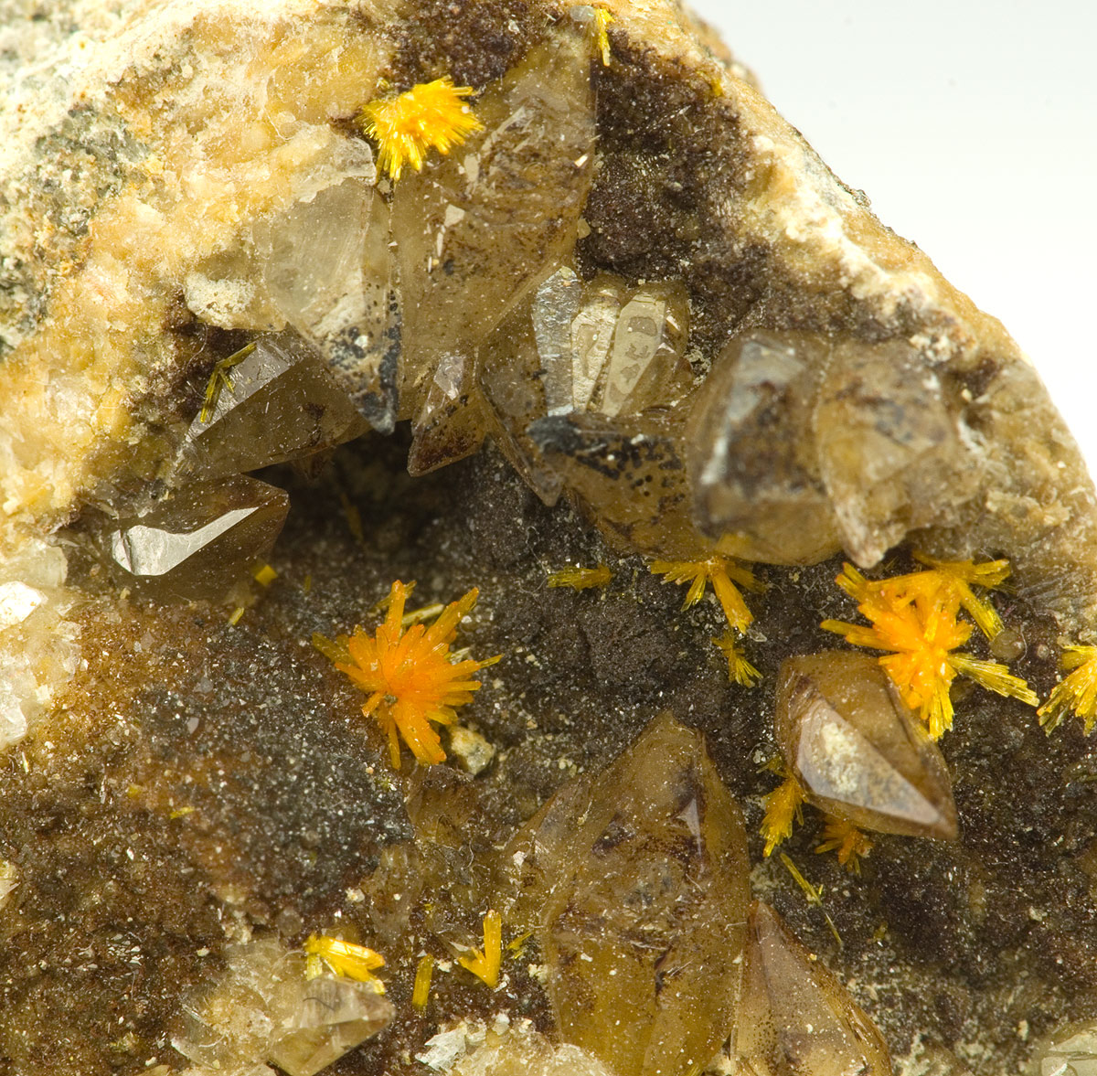 Boltwoodite - R�ssing Uranium Mine, Arandis, Swakopmund District, Erongo Region, Namibia