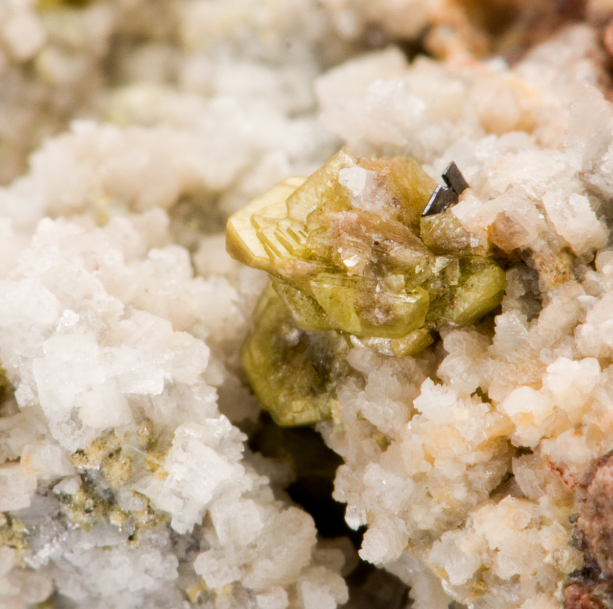 Sinchisite-(Ce) with Anatase - Stbr. Petersberg - bei halle - Sachsen - Anhalt - Germany