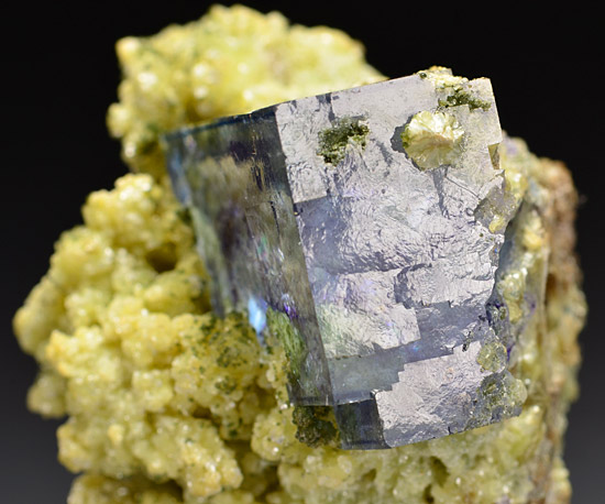 Fluorite on Muscovite - Yaogangxian mine - Yaogangxian W-Sn ore field - Yizhang Co. - Chenzhou pref. - Hunan prov. - China