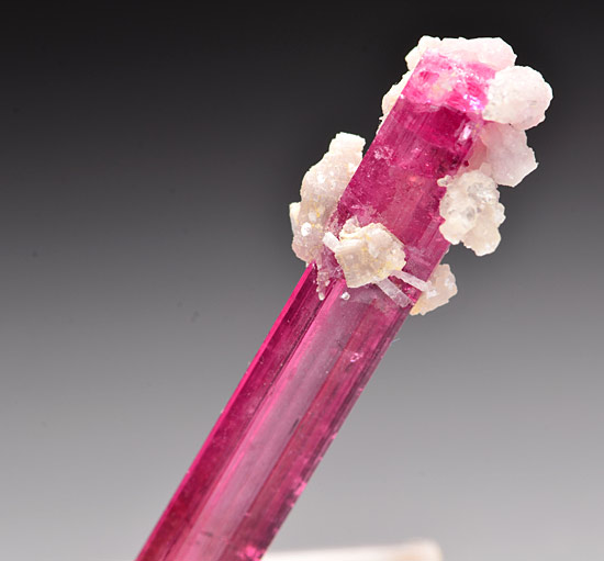 Elbaite var. Rubellite - Cruzeiro mine, S�o Jos� da Safira, Doce valley, Minas Gerais, Brazil