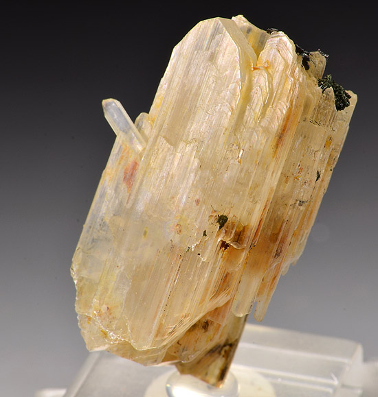 Epididymite, Aegirina. Zomba-Malosa. Malawi