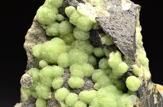 Wavellite - Mauldin Mountain - Montgomery County - Arkansas - USA
