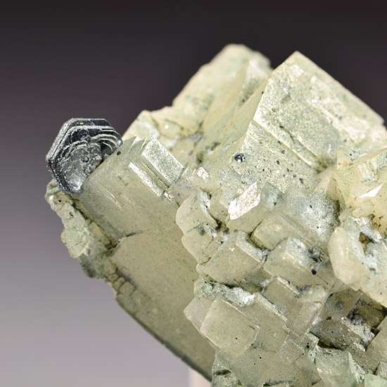 Hematite (Iron Rose) on Adularia - Central St Gotthard Massif, Leventina, Ticino (Tessin), Switzerland