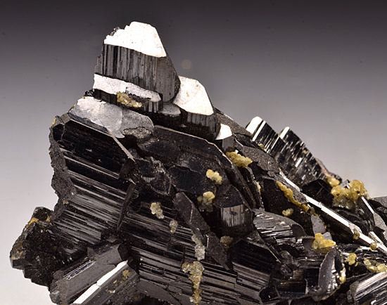 Ferberite (Wolframite) on Quartz - Yao Gang Xian Mine - Hunan Province - China