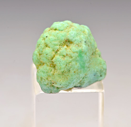 Prosopite - Santa Rosa Mine, Santa Rosa, Mun. de Mazapil, Zacatecas, Mexico