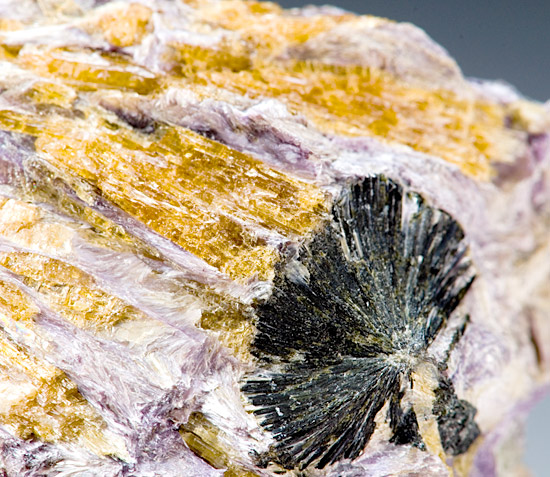 Tinaksite - Murunskii Massif, Chara and Tokko Rivers Confluence, Aldan Shield, Saha Republic ,Yakutia, Eastern-Siberian Region, Russia - Type Locality