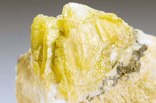 Meliphanite - Stokk�ya, Langesundsfjorden, Larvik, Vestfold, Norway