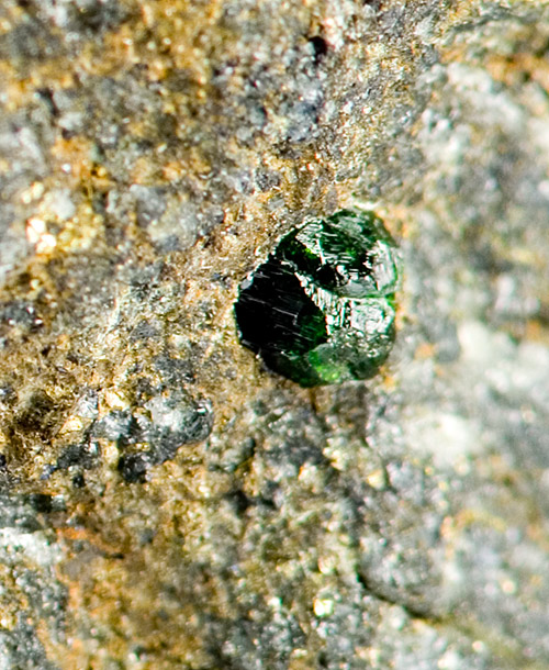 Goldmanite - Rybn�ček, Pezinok, Mal� Karpaty Mts, Bratislava Region, Slovakia