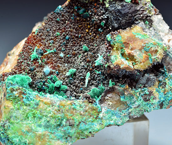 Malachite with Spangolite - Mex Tex Mine - Hansonburg mining district - Socorro County - New Mexico - Usa