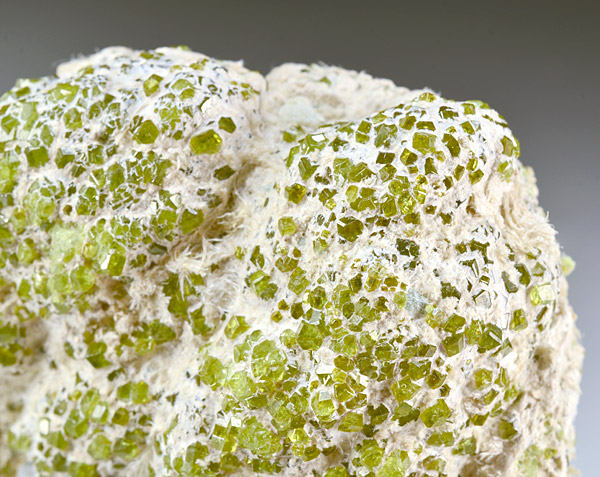 Andradite var. Demantoide - Ristoro di Campo Franscia - Valmalenco - Sondrio Provimce - Lombardy - Italy