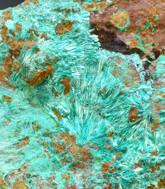 Tyrolite - Novovesk� Huta U-Cu deposit, Novovesk� Huta, Spi�sk� Nov� Ves Mining District, Spi�sk� Nov� Ves Co., Ko�ice Region, Slovakia