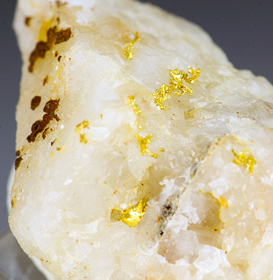 Gold (native) - Brusson - Aosta Valley - Italy