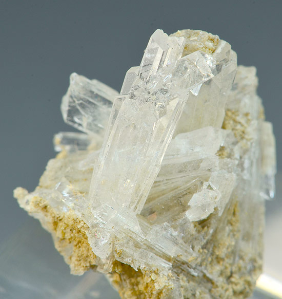 Nifontovite - Level nr. 16 - Rey y Reina Mine (King and Queen Mine) - Charcas - Mun. de Charcas - San Luis Potos� - Mexico