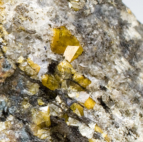 Fluorcalcioromeite - Grube Starlera, Val Starlera, Val Ferrera, Hinterrheintal, Graub�nden, Switzerland - TYPE LOCALITY