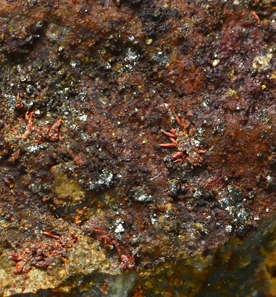 Bendadaite - Veta Negra Mine, Pampa Larga district, Tierra Amarilla, Copiap� Province, Atacama Region, Chile (Co-Type Locality)
