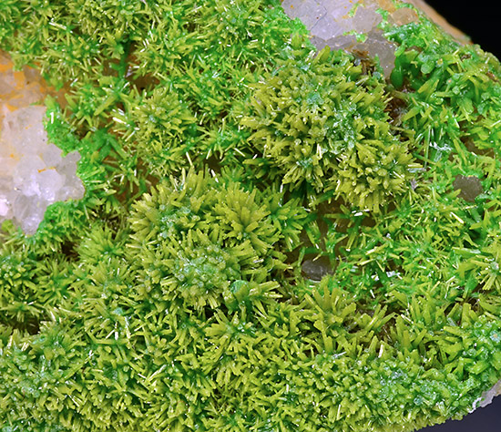 Pyromorphite - Bwlch Glas Mine, Talybont, Ceulanymaesmawr, Ceredigion, Wales, UK