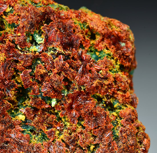 Amarantite - Mina Quetana - Calama - II Region - Atacama Desert - Chile