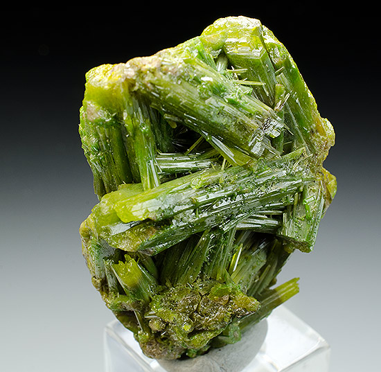 Pyromorphite - Heilige Dreifaltigkeit Mine, Zschopau, Erzgebirge, Saxony, Germany (TYPE LOCALITY)