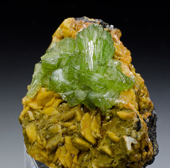 Ludlamite - Huanuni mine, Huanuni, Dalence Province, Oruro Department, Bolivia