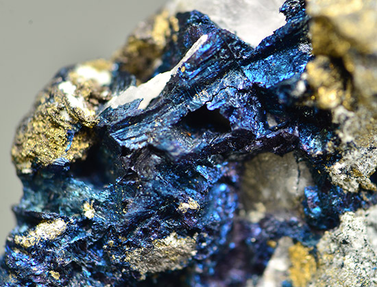 Anilite - Tilva Mika deposit, Bor Mine, Bor, Bor-Majdanpek mining district, Bor District, Serbia