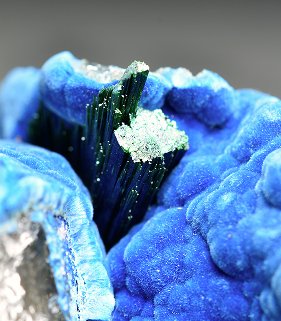 Shattuckite with Malachite - Kaokoveld Plateau, Kunene Region - Namibia