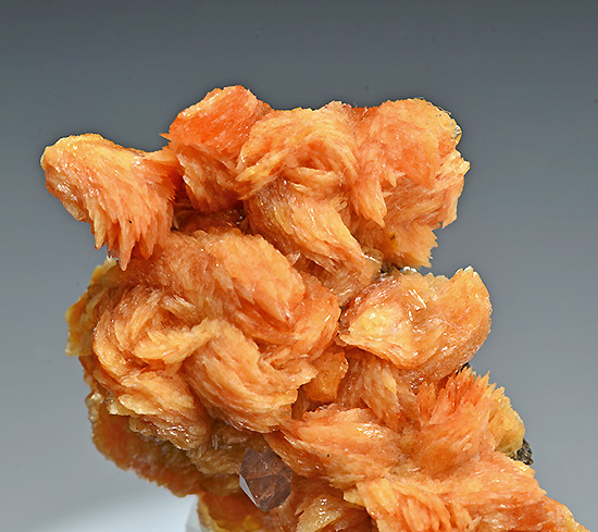 Tinzenite - Molinello Mine - Graveglia Valley - Genoa Province - Ligury - Italy