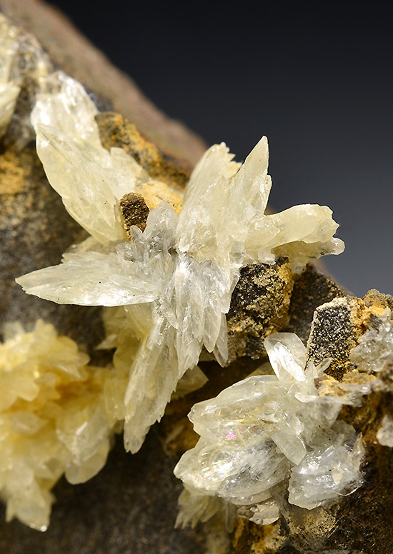 Collinsite, Rapid Creek area, Yukon, Canada