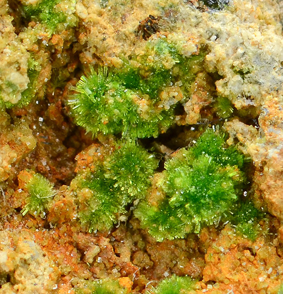 Arthurite - Mahiuuba Hill Mine, Antelope distr., Pershing Co. - Nevada, USA