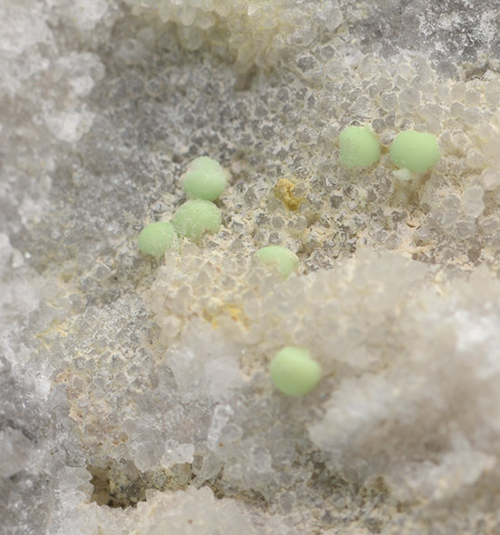 Minyulite - Pereta mine - Pereta - Scansano - Grosseto prov. - Tuscany - Italy