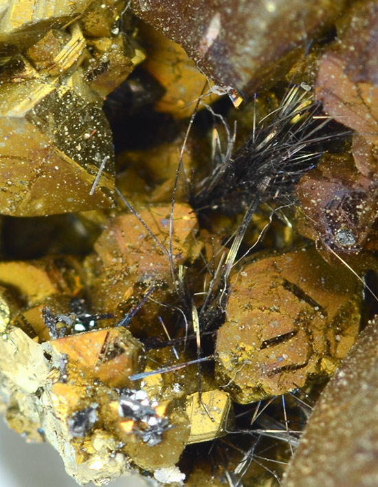 Hodru�ite over chalcopyrite - Julcani Distr. - Angaraes prov. - Huancavelica deptm. - Peru