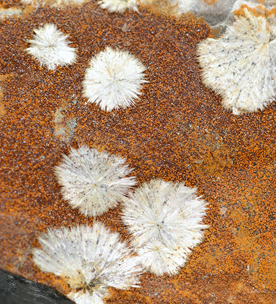 Dawsonite - Limoncino - Val Benedetta, Livorno, Tuscany, Italy