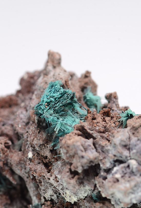 Paratacamite - Monte Somma, Somma-Vesuvius Complex, Naples Province, Campania, Italy