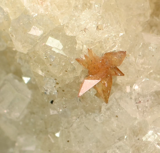 Titanite - Monte Somma, Somma-Vesuvius Complex, Naples Province, Campania, Italy
